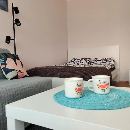 Sloneczna Kawalerka Gdansk