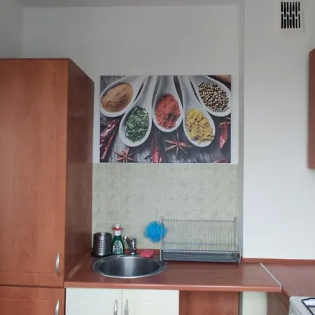 Sloneczna Kawalerka Apartment Gdansk